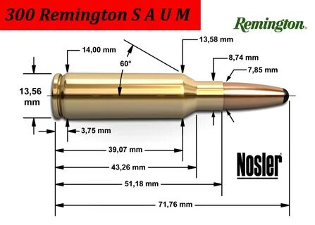 300 RSAUM - www.balistique-joel-serre.fr