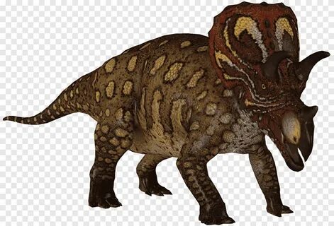 Tyrannosaurus Saurian Triceratops Pachycephalosaurus Diabloc