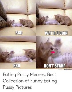 ✅ 25+ Best Memes About Memes About Eating Pussy Memes About 