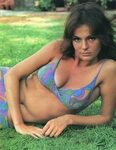65+ Hot Pictures Of Jacqueline Bisset Which Are Too Hot To..