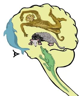 The Reptilian Brain and Beyond HuffPost Life