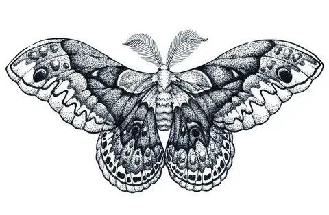 Искусство татуировки бабочки Татуировка Dotwork Cecropia Hya