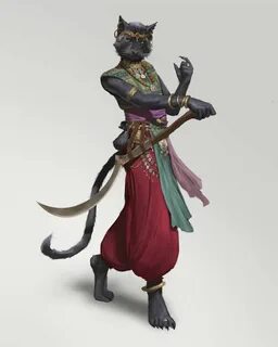 tabaxi black - Google Search Fantasy character design, Dunge