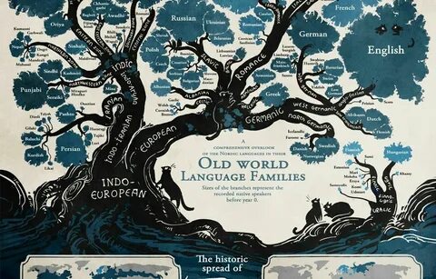 Pin by Xochitl Se'wa on Lingüística Language tree, Language, Infographic