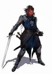 A collection of roughly 100 D&D character art images I have 