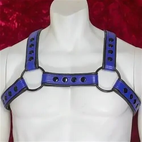 Blue and Black Leather H-Harness with Black Hardware