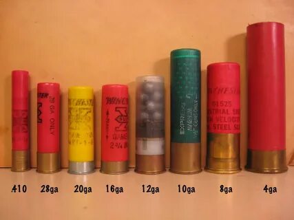 Vintage Outdoors: Shotgun Shell Gauge Size Comparison