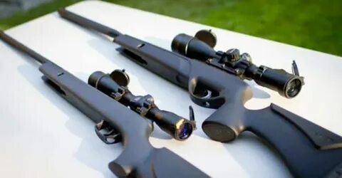 Gamo Whisper Silent Cat Air Rifle Review - Inspiration Guide