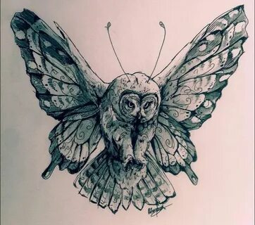Pin by Shanna Sergeon on Tattoo's Owl tattoo, Butterfly tatt