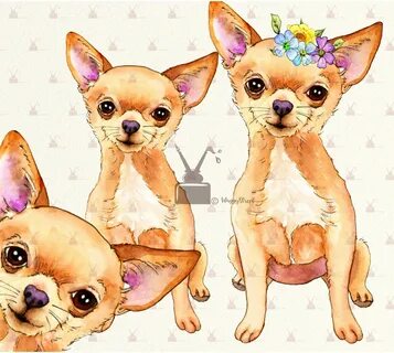 Chihuahua Clipart - Pets Lovers