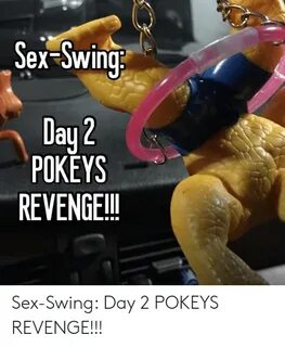 Sex-Swing Day 2 POKEYS REVENGE!! Sex-Swing Day 2 POKEYS REVE