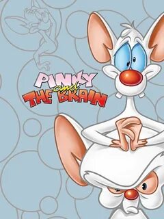 Who Is Pinky And The Brain - Enaik Online