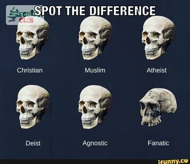 Skull Memes