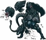 Pictures showing for Female Xenomorph Pussy - www.dailyhotgi