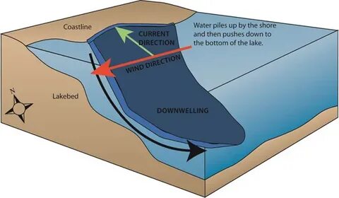 Upwelling and Downwelling - Toronto and Region Conservation 