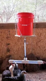 DIY Automatic Chicken Waterer with Nipple Drippers - Your Pr