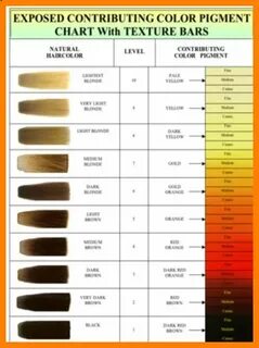 Таблица цветов волос: Страница не найдена - Alfa Prof - Este