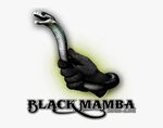 Black Mamba Png Image - Snake, Transparent Png , Transparent