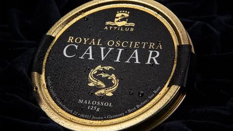 Attilus: In the Pursuit of Perfection in the Caviar Industry