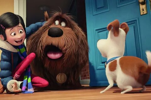 2560x1700 The Secrete Life of Pets Movie Original Chromebook