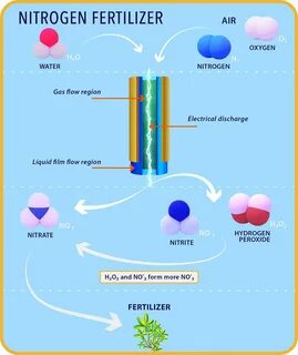 Nitrogen Fertilizer - Redhill Scientific