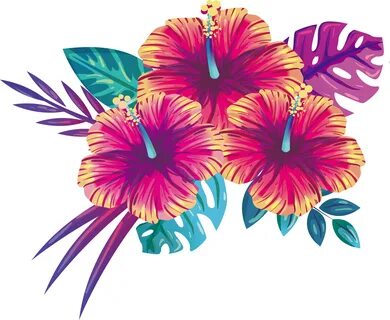 Download Summer Flowers Blooming Free Clipart HQ Clipart PNG