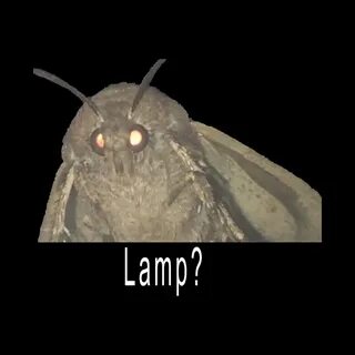 Moth Lamp Meme - Moth Lamp - Mug TeePublic AU