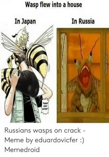 🐣 25+ Best Memes About Wasp Meme Wasp Memes