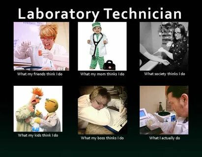 PCAA on Twitter Lab humor, Medical laboratory scientist, Med