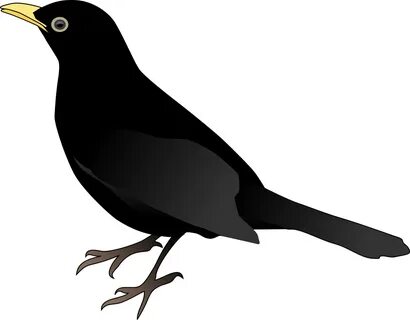 OnlineLabels Clip Art - Blackbird