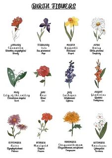 Birth Flower poster - 12 months Florence and Flora Birth flo