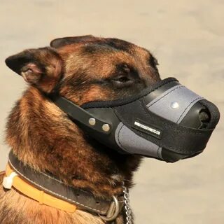 Basket Muzzle for German Shepherd Most Humane Dog Muzzle K9 