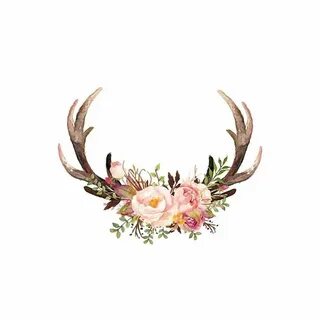 Floral Antlers Poster Print by Tara Moss - Item VARPDXTA2047