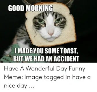 GOOD MORNING IMADE YOU SOME TOAST BUT WE HAD AN ACCIDENT Hav