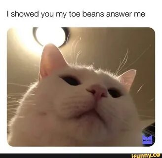 I showed you my toe beans answer me