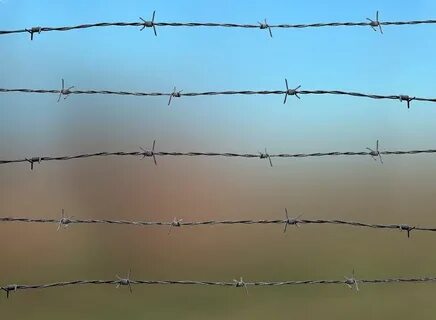 How Much Does a Barbed Wire Fence Cost?
