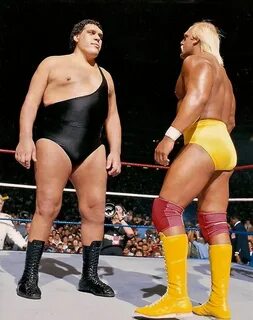 the front page of the internet Andre the giant, Hulk hogan, 