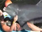 Girl Has Sex With Dolphin Porn - Porn Photos Sex Videos