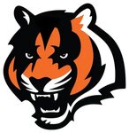 Cincinnati Bengals Png Photo - Cincinnati Bengals Logo - (16