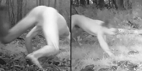 Cameras Catch Naked Man High On LSD Thinking He's A Tiger - 