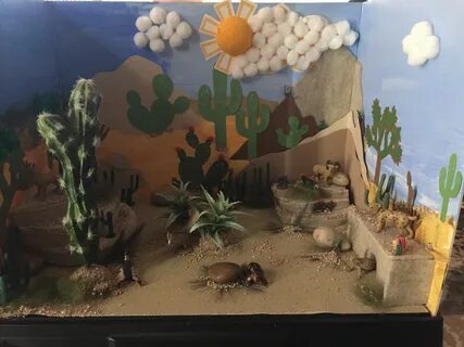 Desert diorama Desert diorama, Diorama kids, Biomes project
