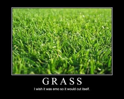 how true this is! Grass quotes, Spring grass, Funny quotes