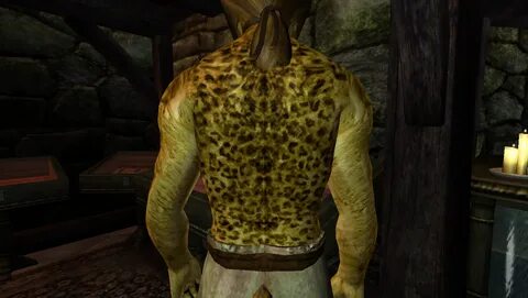 improved body textures at oblivion nexus mods and community