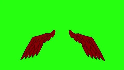 Green Screen Red Wing Animation - FREE TO USE - YouTube