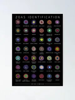 Zoanthids Identification Poster Poster by hvixian designs in