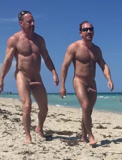 Naked People On Miami Beach Sex Pictures Pass