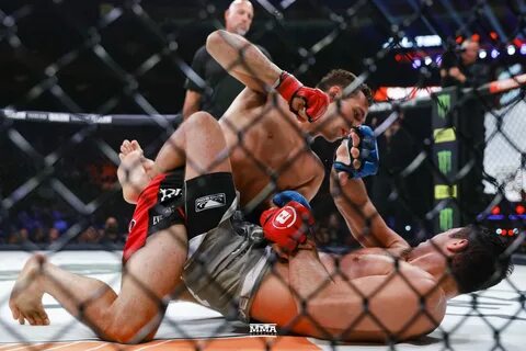 Bellator 222 Photos - MMA Fighting