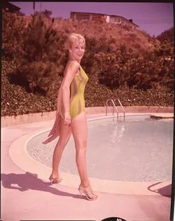 50 Hot Barbara Eden Photos - 12thBlog