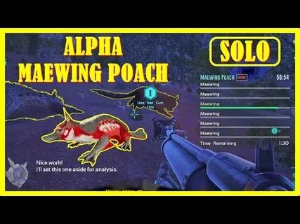 ARK Official PVE : Solo Alpha Maewing Poach Genesis 2 DLC 