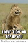 OLOVELIONON TOP OF YOU Quickmemecom Dirty Lion Memes Quickme